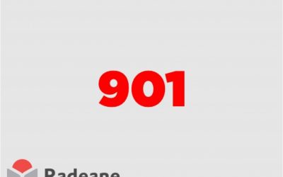 9º Ano – Turma 901